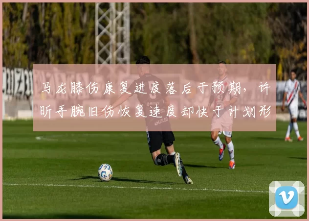 马龙膝伤康复进度落后于预期,许昕手腕旧伤恢复速度却快于计划形成对比