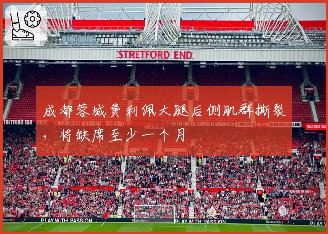 成都蓉城费利佩大腿后侧肌群撕裂，将缺席至少一个月