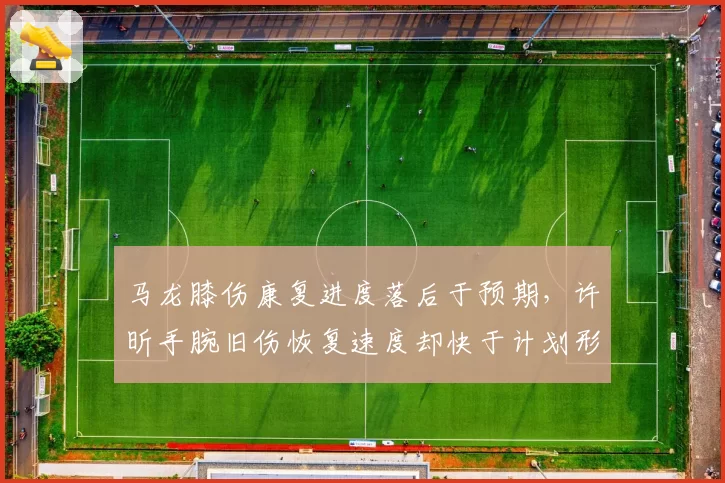 马龙膝伤康复进度落后于预期，许昕手腕旧伤恢复速度却快于计划形成对比