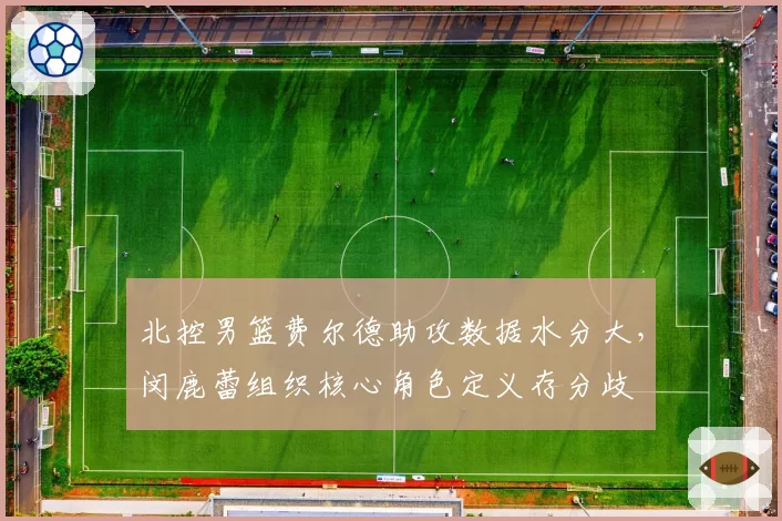 北控男篮费尔德助攻数据水分大，闵鹿蕾组织核心角色定义存分歧