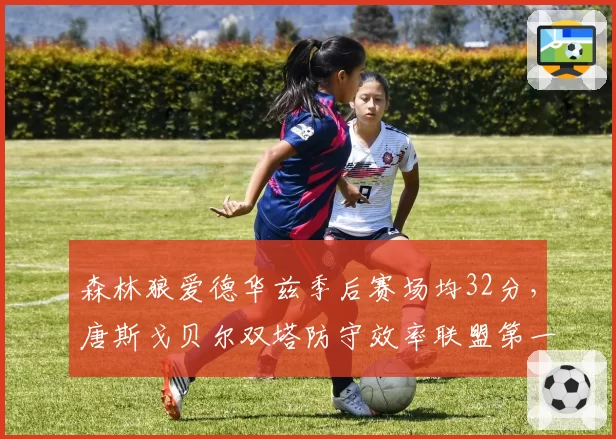 森林狼爱德华兹季后赛场均32分，唐斯戈贝尔双塔防守效率联盟第一但进攻空间受限